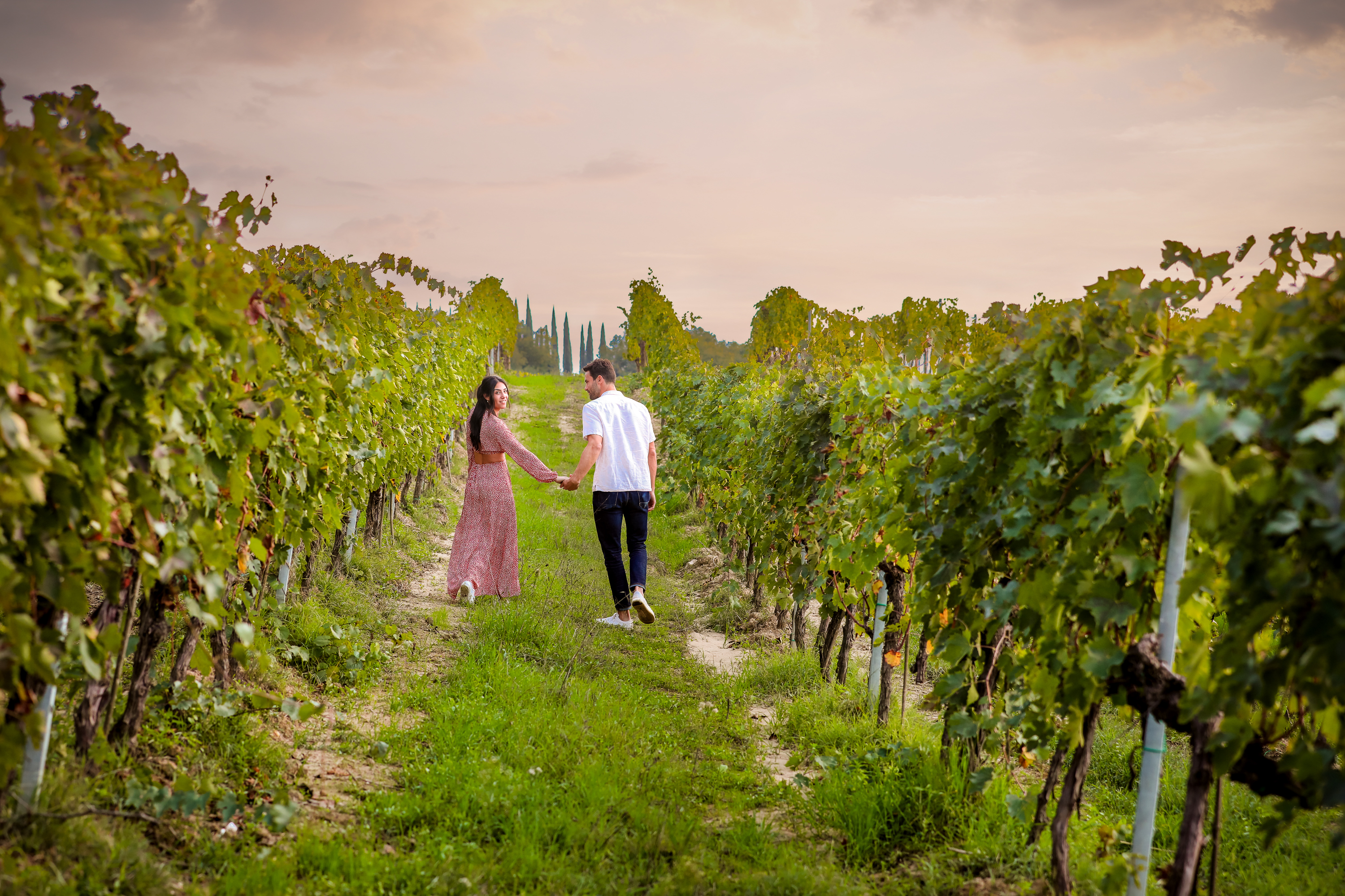 Montalcino Vineyards