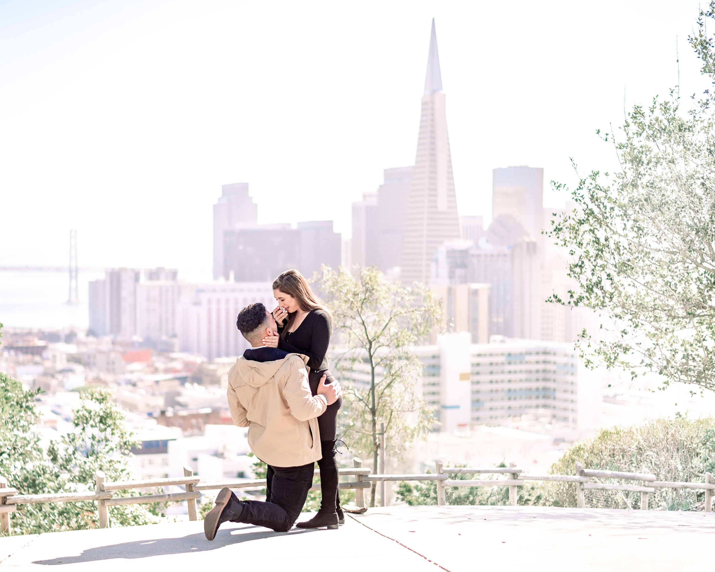 Ina Coolbrith Park proposal with San Francisco skyline
