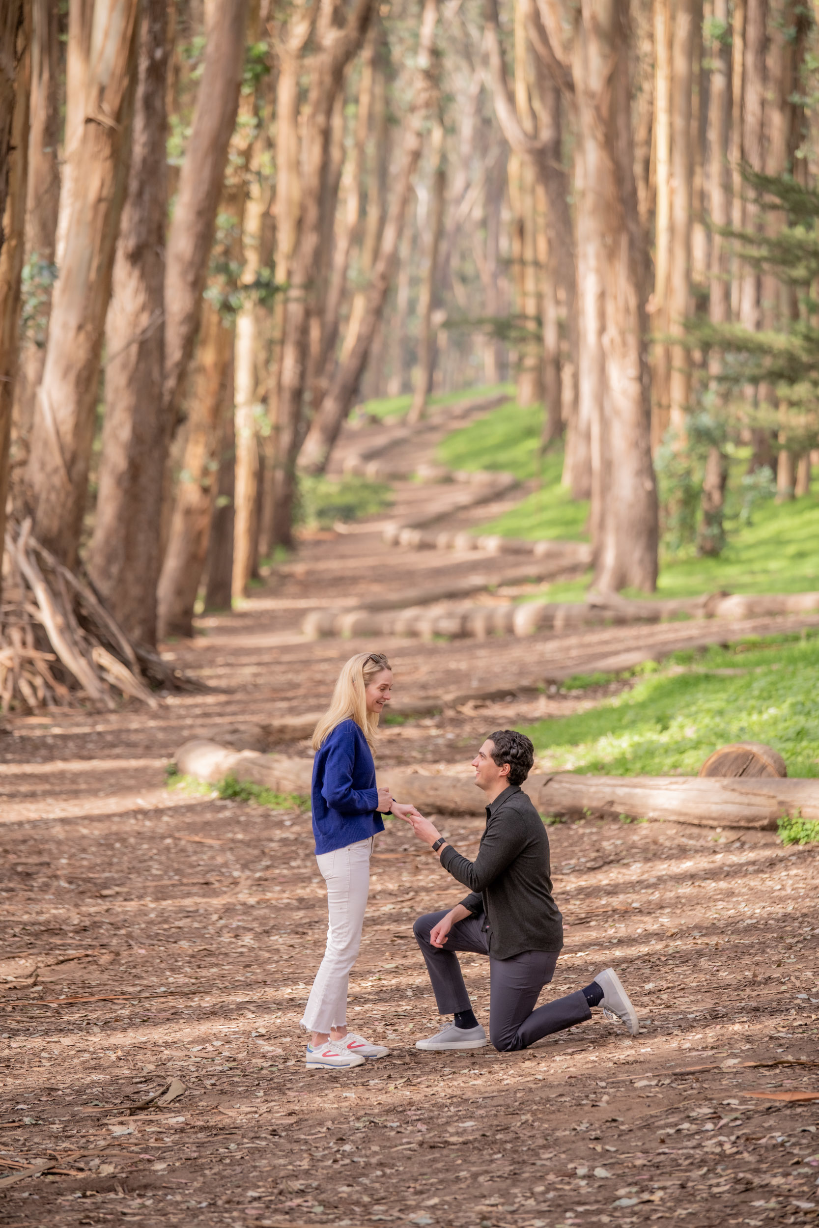 Lovers Lane proposal in San Francisco