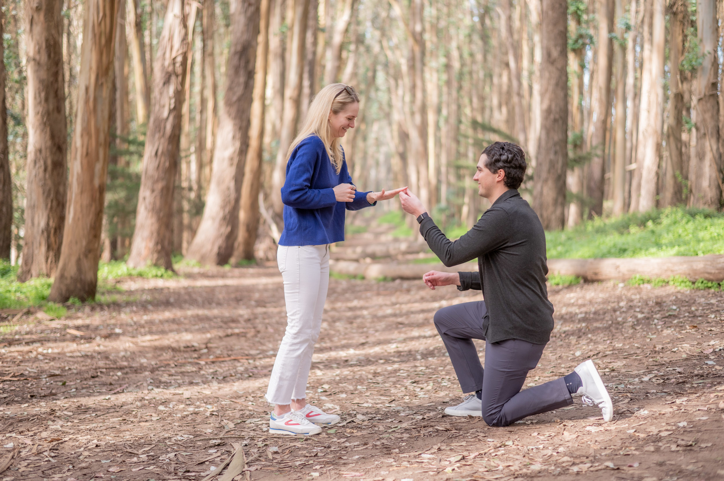 Proposal at Lover's Lane in the Presidio surrounded by trees and soft natural light